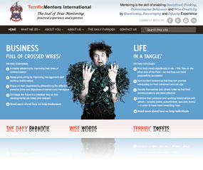 Terrific Mentors: WordPress site design and development